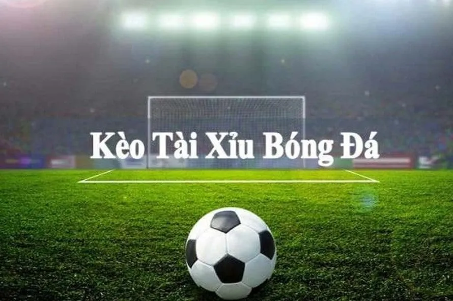 Kèo Tài Xỉu Shbet vui nhộn, hấp dẫn, thưởng lớn